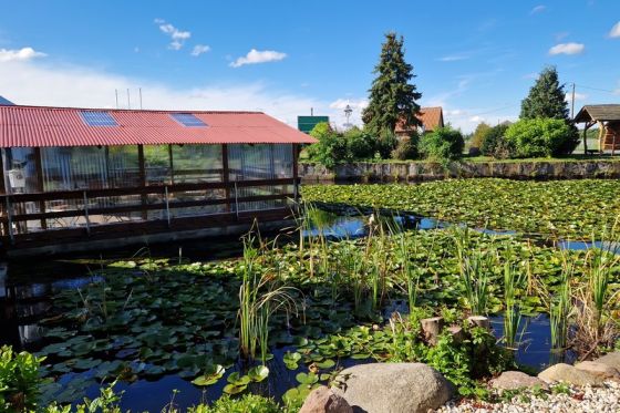 Hotel Gröbern am See – Biergarten am Seerosenteich bei Sonnenuntergang