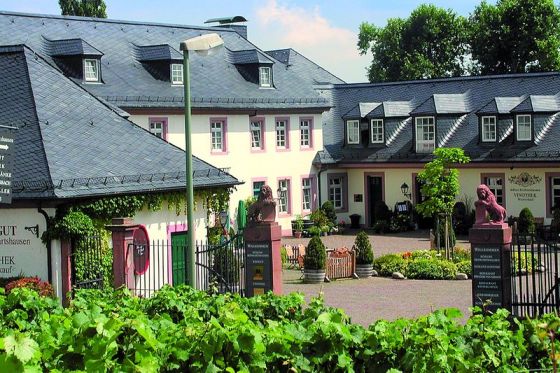 Einfahrt zum Weingut Schloss Reinhartshausen mit Löwentor, Vinothek und Weinreben im Vordergrund