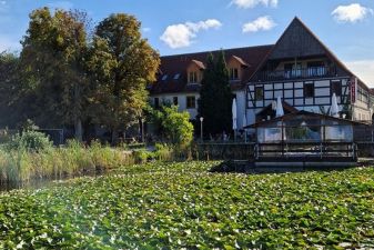 Hotel Gröbern am See – Außenansicht mit Parkanlage am Muldestausee
