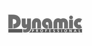 Logo Dynamic Professional